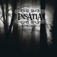 Insatia - Asylum Denied - Tekst piosenki, lyrics | Tekściki.pl