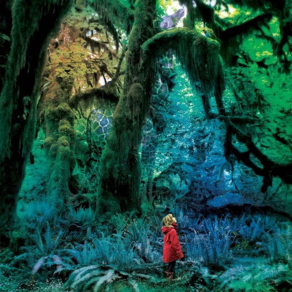 Jacco Gardner - Cabinet of Curiosities - Tekst piosenki, lyrics | Tekściki.pl