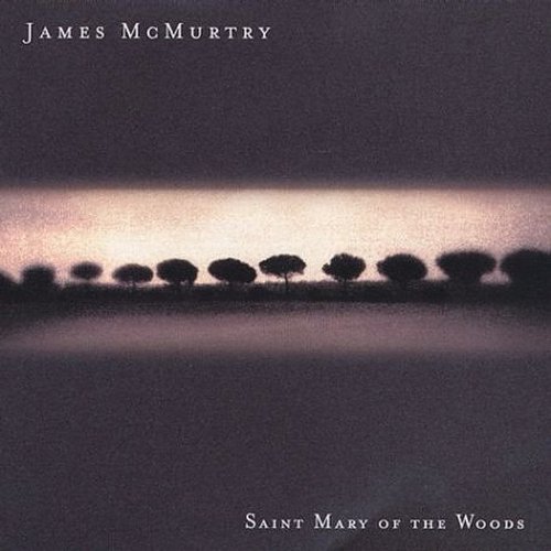 James McMurtry - Saint Mary of the Woods - Tekst piosenki, lyrics | Tekściki.pl