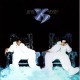 Jinusean - The Reign - Tekst piosenki, lyrics | Tekściki.pl