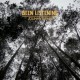 Johnny Flynn - Been Listening - Tekst piosenki, lyrics | Tekściki.pl