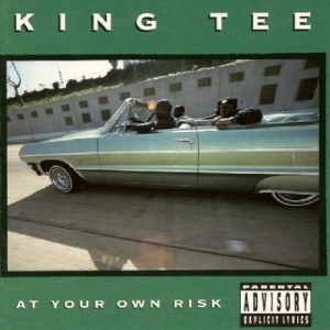 King T - At Your Own Risk - Tekst piosenki, lyrics | Tekściki.pl