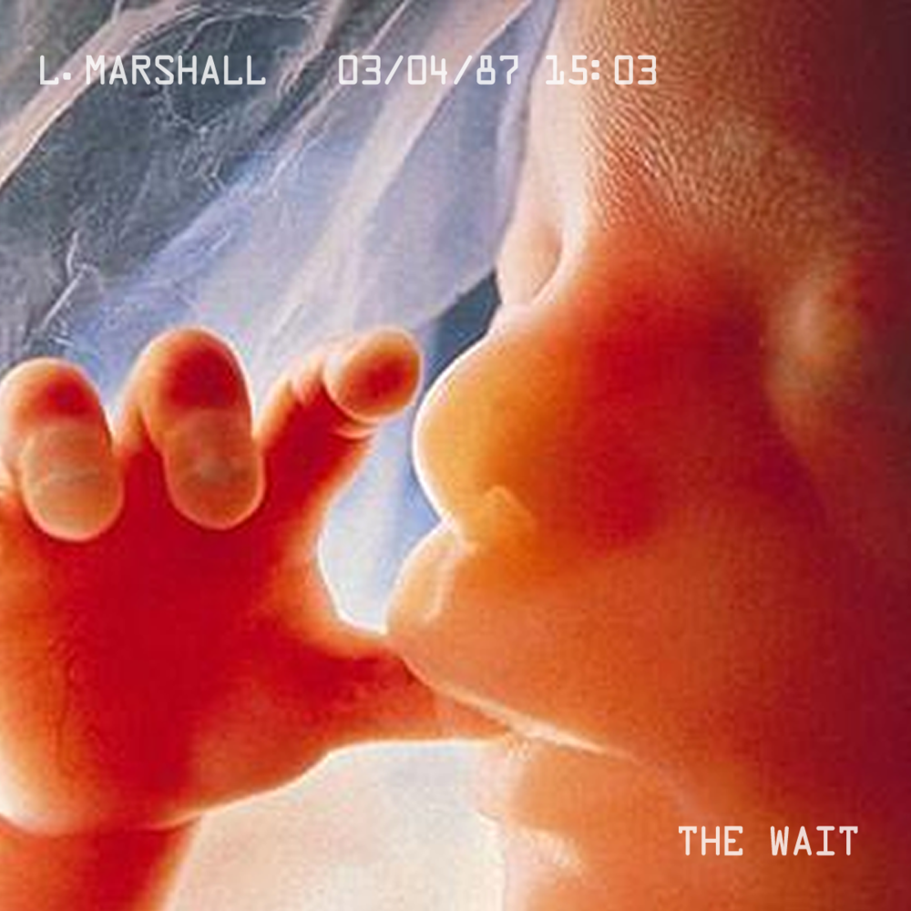 L Marshall - The Wait - Tekst piosenki, lyrics | Tekściki.pl