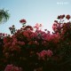 LANY - Make Out EP - Tekst piosenki, lyrics | Tekściki.pl