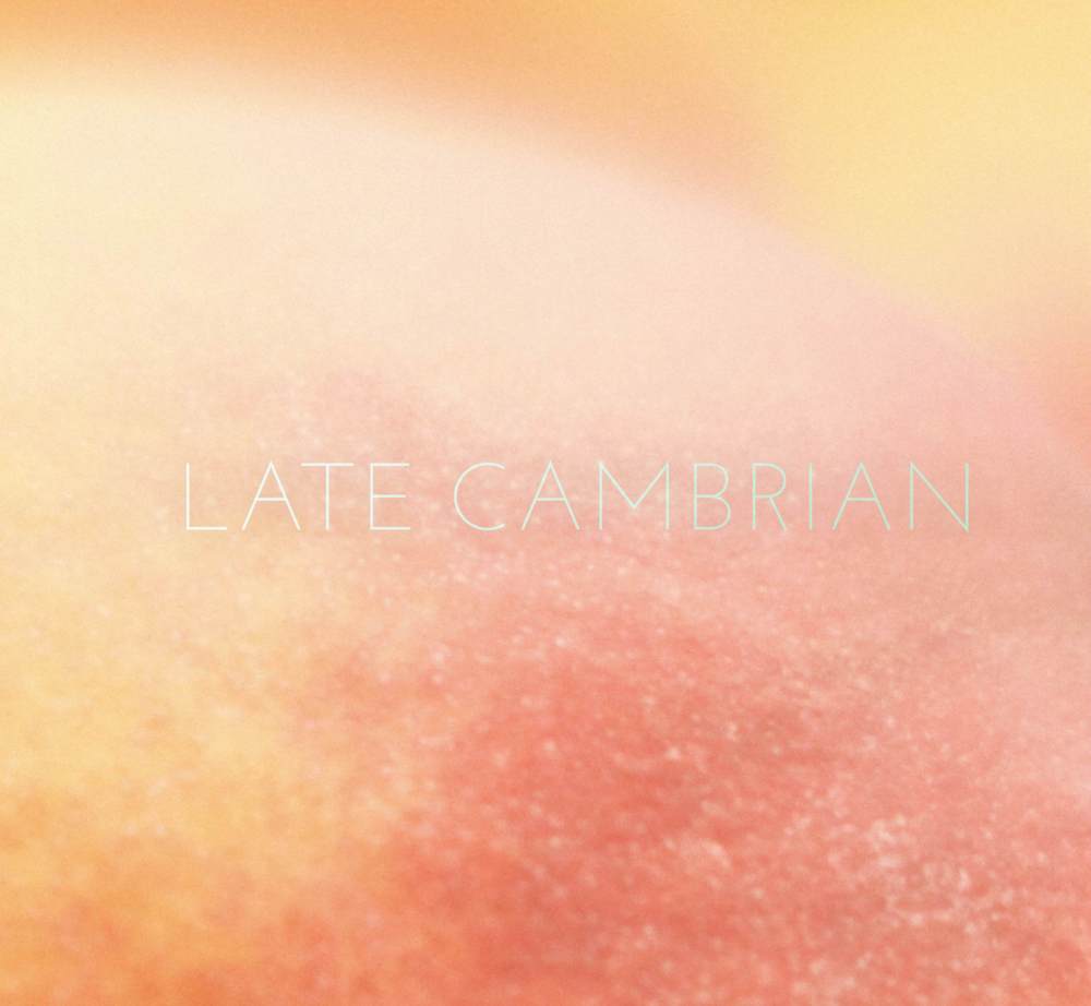 Late Cambrian - PEACH - Tekst piosenki, lyrics | Tekściki.pl