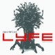 Lyfe Jennings - Tree Of Lyfe - Tekst piosenki, lyrics | Tekściki.pl