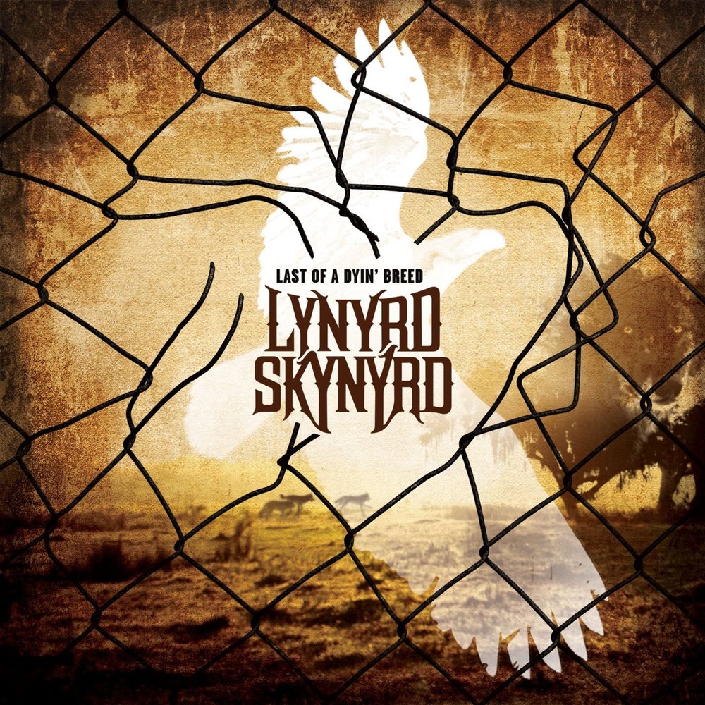 Lynyrd Skynyrd - Last Of A Dyin' Breed - Tekst piosenki, lyrics | Tekściki.pl