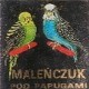 Maciej Maleńczuk - Pod papugami - Tekst piosenki, lyrics | Tekściki.pl