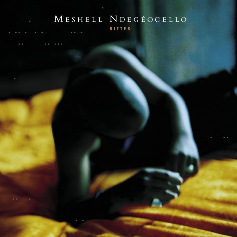 Me'Shell Ndegéocello - Bitter - Tekst piosenki, lyrics | Tekściki.pl