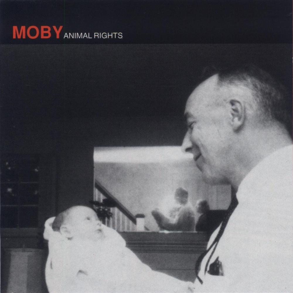 Moby - Animal Rights - Tekst piosenki, lyrics | Tekściki.pl