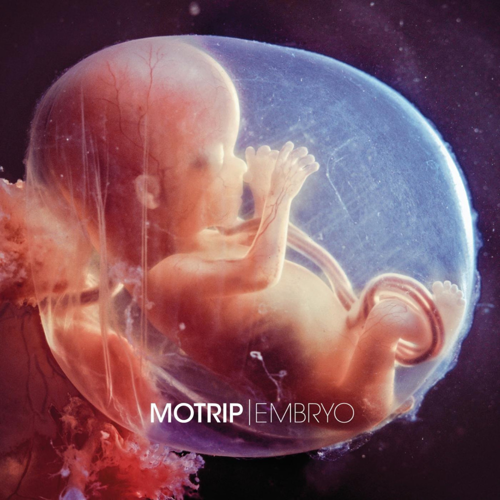 MoTrip - Embryo - Tekst piosenki, lyrics | Tekściki.pl