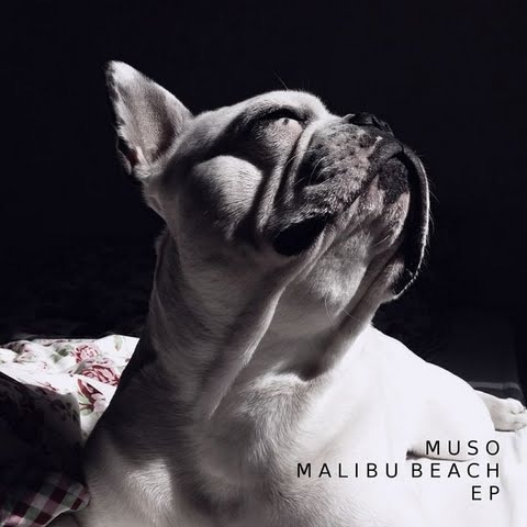 Muso - Malibu Beach EP - Tekst piosenki, lyrics | Tekściki.pl