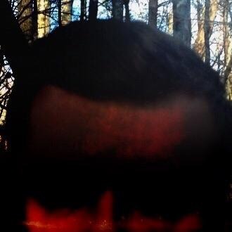 Nalyd - Walking in the Woods - Tekst piosenki, lyrics | Tekściki.pl