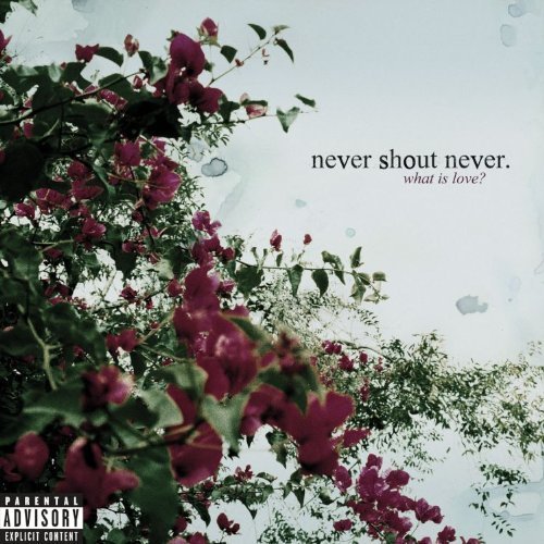 Never Shout Never - What Is Love? - Tekst piosenki, lyrics | Tekściki.pl