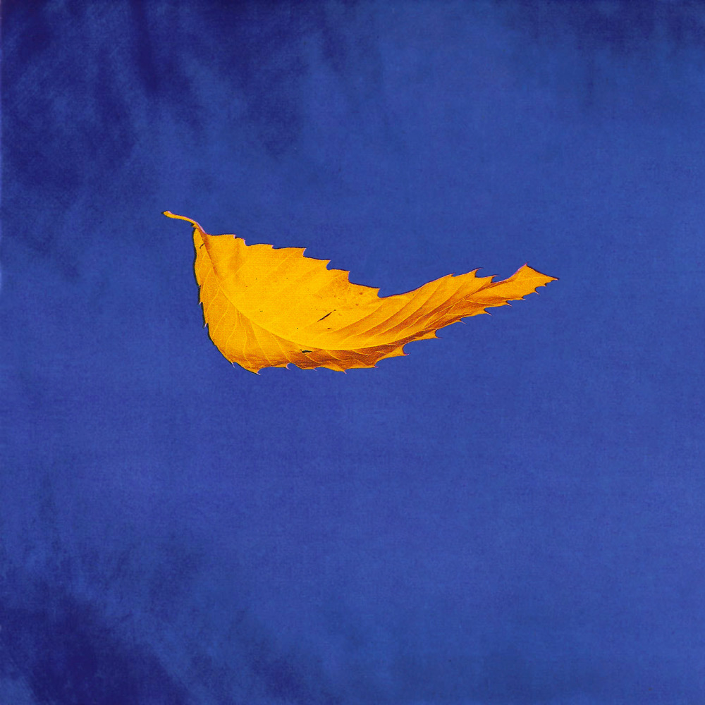 New Order - True Faith - Single - Tekst piosenki, lyrics | Tekściki.pl