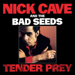 Nick Cave And The Bad Seeds - Tender Prey - Tekst piosenki, lyrics | Tekściki.pl