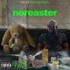 N.O.R.E. - Noreaster - Tekst piosenki, lyrics | Tekściki.pl