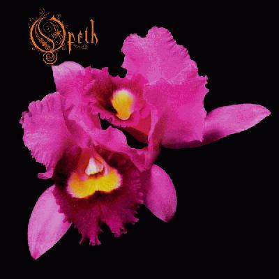 Opeth - Orchid - Tekst piosenki, lyrics | Tekściki.pl