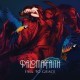 Paloma Faith - Fall to Grace - Tekst piosenki, lyrics | Tekściki.pl