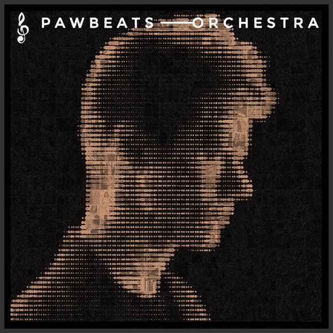 Pawbeats - Orchestra - Tekst piosenki, lyrics | Tekściki.pl