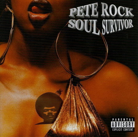 Pete Rock - Soul Survivor - Tekst piosenki, lyrics | Tekściki.pl