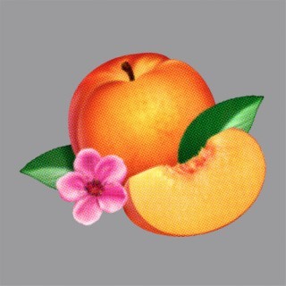 Phoenix - Bankrupt! - Tekst piosenki, lyrics | Tekściki.pl