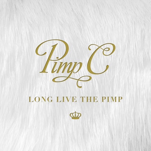 Pimp C - Long Live The Pimp - Tekst piosenki, lyrics | Tekściki.pl