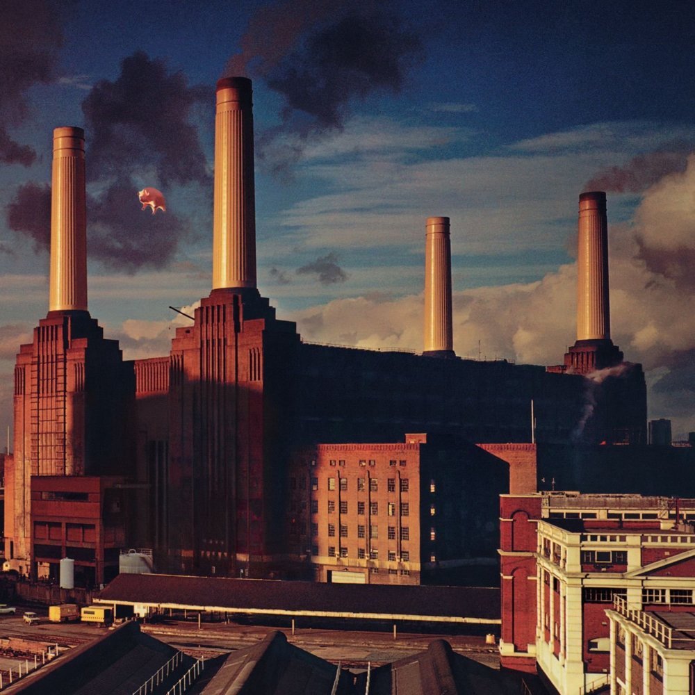 Pink Floyd - Animals - Tekst piosenki, lyrics | Tekściki.pl