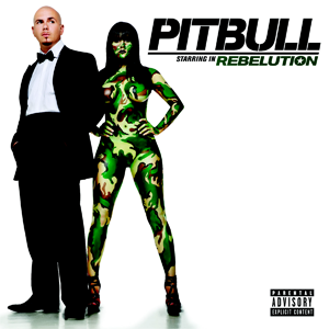 Pitbull - Rebelution - Tekst piosenki, lyrics | Tekściki.pl