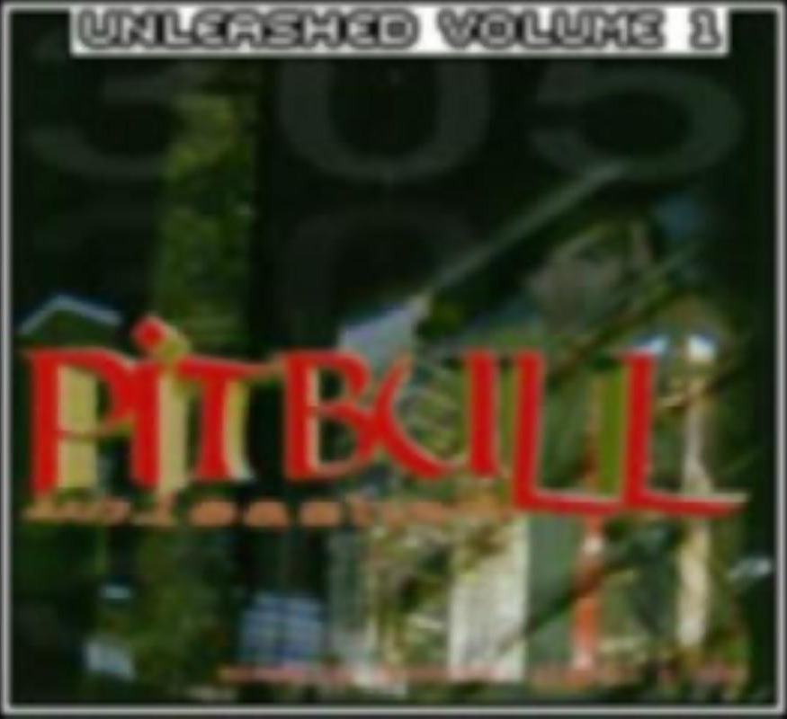 Pitbull - Unleashed Volume 1 - Tekst piosenki, lyrics | Tekściki.pl