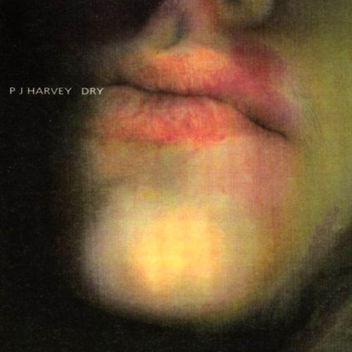 PJ Harvey - Dry - Tekst piosenki, lyrics | Tekściki.pl