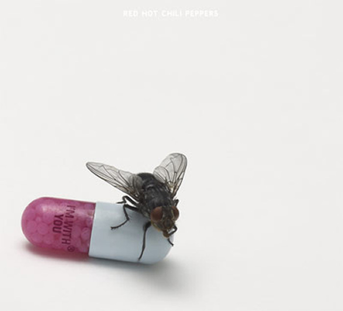 Red Hot Chili Peppers - I'm With You - Tekst piosenki, lyrics | Tekściki.pl