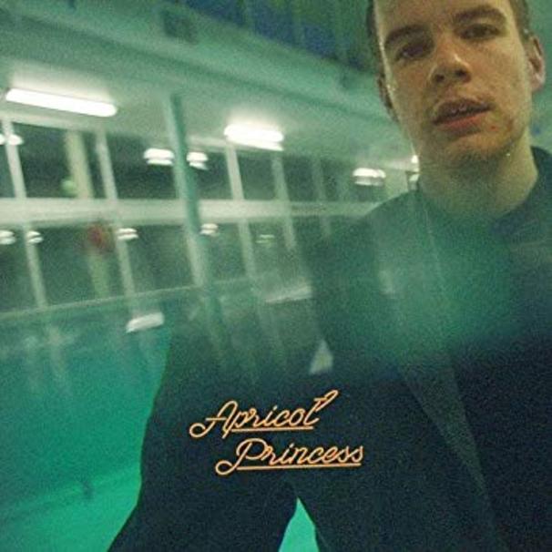 Rex Orange County - Apricot Princess - Tekst piosenki, lyrics | Tekściki.pl