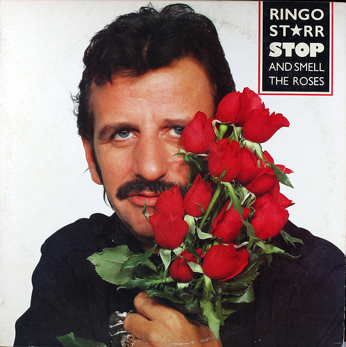 Ringo Starr - Stop And Smell The Roses - Tekst piosenki, lyrics | Tekściki.pl