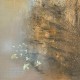 Roo Panes - Nightjar and the Nightingale - Tekst piosenki, lyrics | Tekściki.pl
