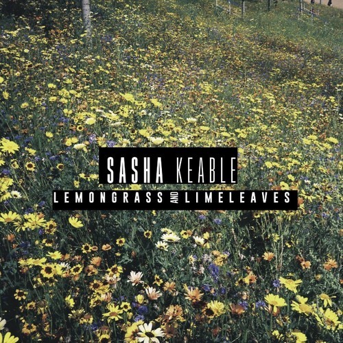 Sasha Keable - Lemongrass and Limeleaves - Tekst piosenki, lyrics | Tekściki.pl