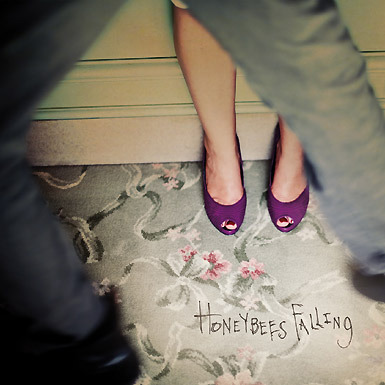 Sean Hayes - Honeybees Falling - Tekst piosenki, lyrics | Tekściki.pl