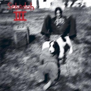 Sebadoh - III Album - Tekst piosenki, lyrics | Tekściki.pl