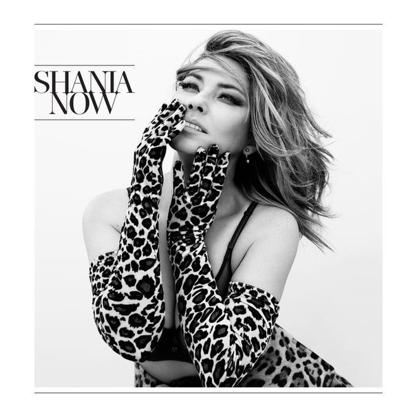 Shania Twain - Now - Tekst piosenki, lyrics | Tekściki.pl