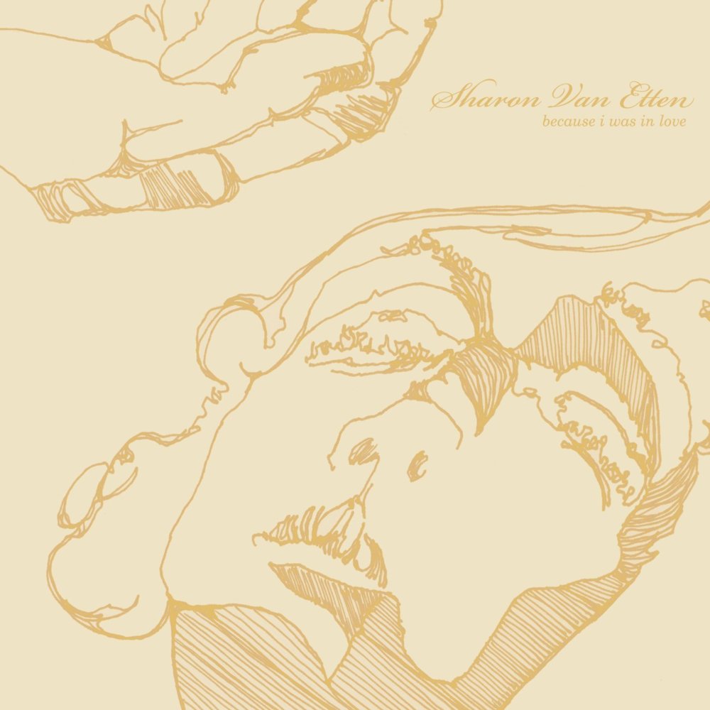 Sharon Van Etten - Because I Was In Love - Tekst piosenki, lyrics | Tekściki.pl
