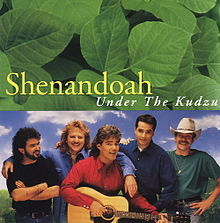 Shenandoah - Under The Kudzu - Tekst piosenki, lyrics | Tekściki.pl