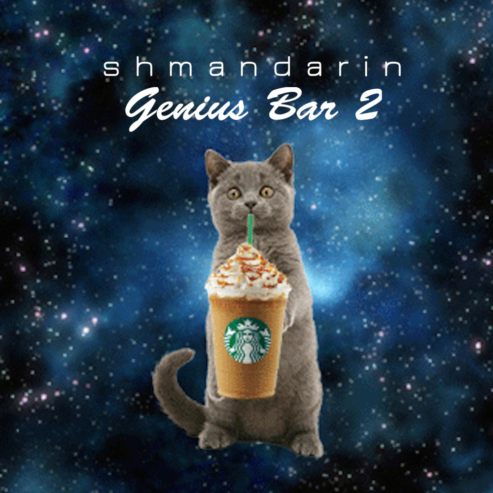 Shmandarin - The Return: Genius Bar 2 - Tekst piosenki, lyrics | Tekściki.pl