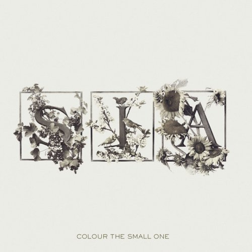 Sia - Colour the Small One - Tekst piosenki, lyrics | Tekściki.pl