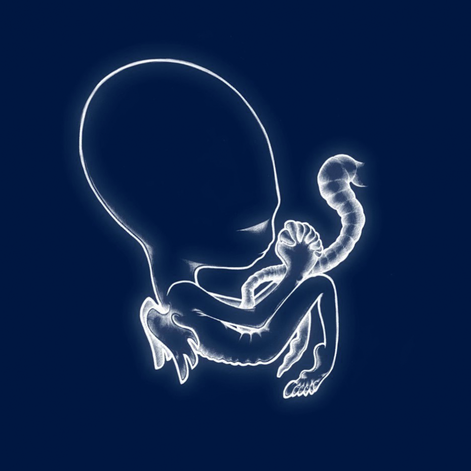 Sigur Rós - Ágætis byrjun - Tekst piosenki, lyrics | Tekściki.pl