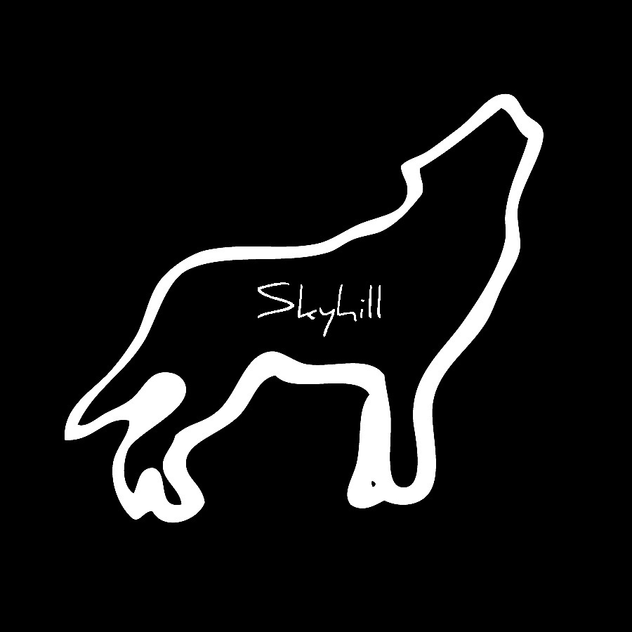Skyhill - Run With the Hunted - Tekst piosenki, lyrics | Tekściki.pl