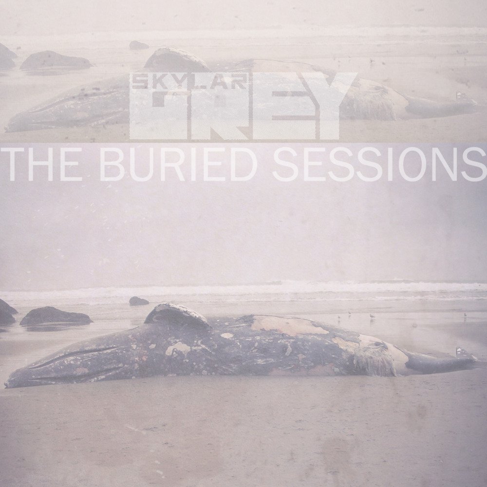 Skylar Grey - The Buried Sessions Of Skylar Grey - Tekst piosenki, lyrics | Tekściki.pl