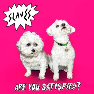 Slaves - Are You Satisfied? - Tekst piosenki, lyrics | Tekściki.pl