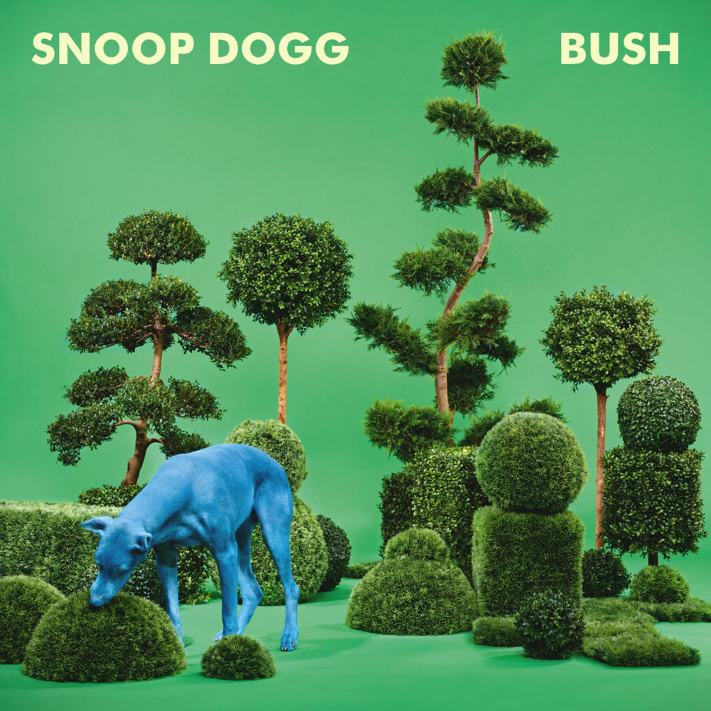 Snoop Dogg - Bush - Tekst piosenki, lyrics | Tekściki.pl