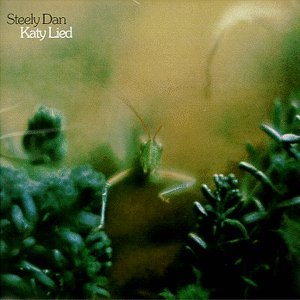 Steely Dan - Katy Lied - Tekst piosenki, lyrics | Tekściki.pl