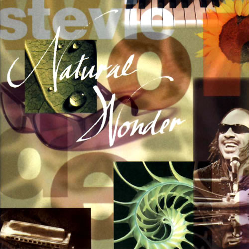 Stevie Wonder - Natural Wonder - Tekst piosenki, lyrics | Tekściki.pl